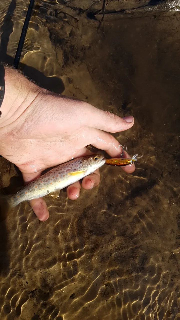 Post image from benwelsh02