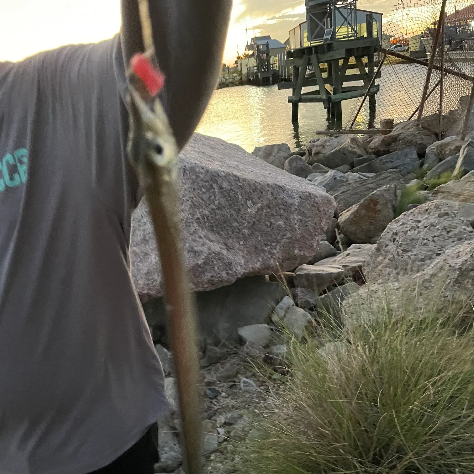 The most recent Atlantic cutlassfish catches on Fishbrain