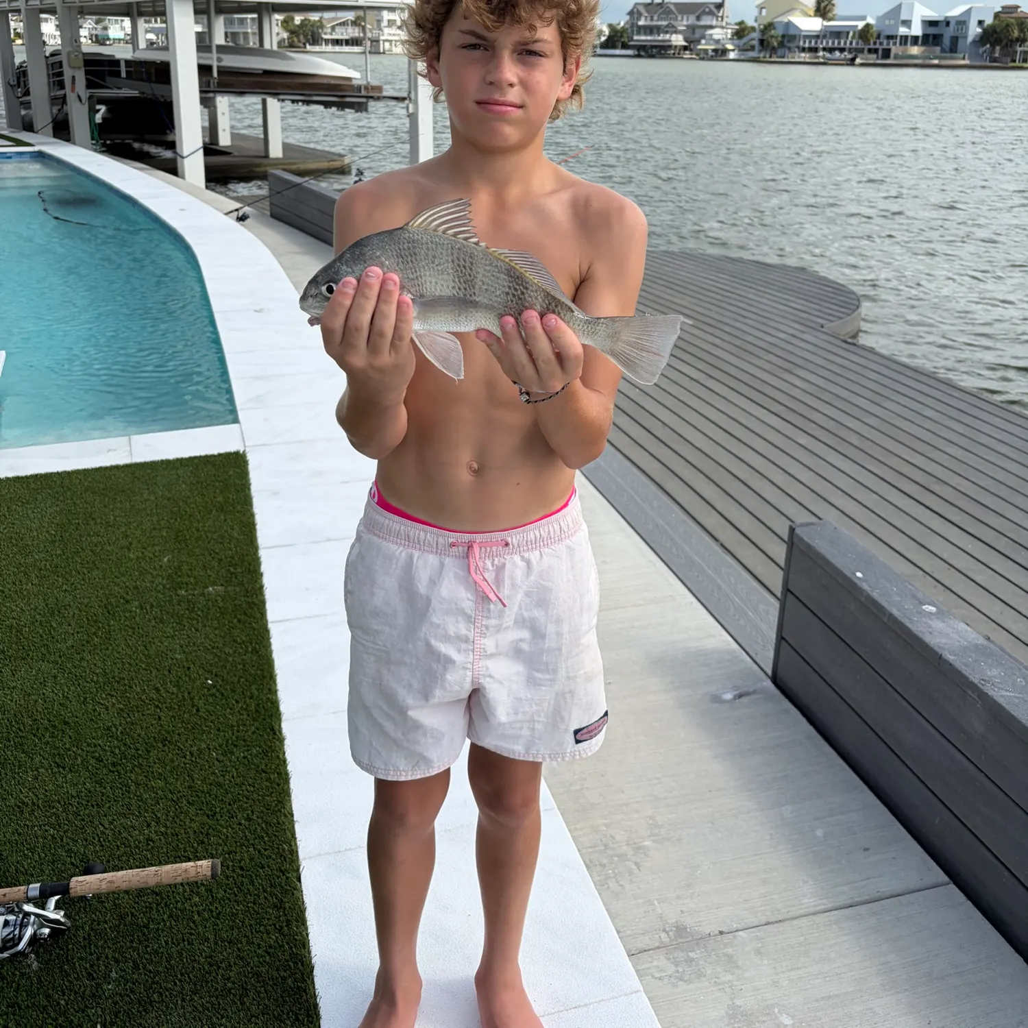 Black drum caught on Fishbrain