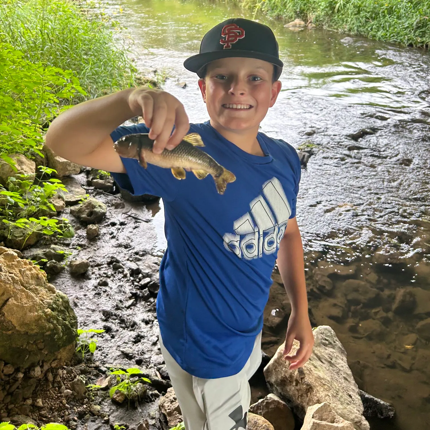 The most recent Hornyhead chub catches on Fishbrain