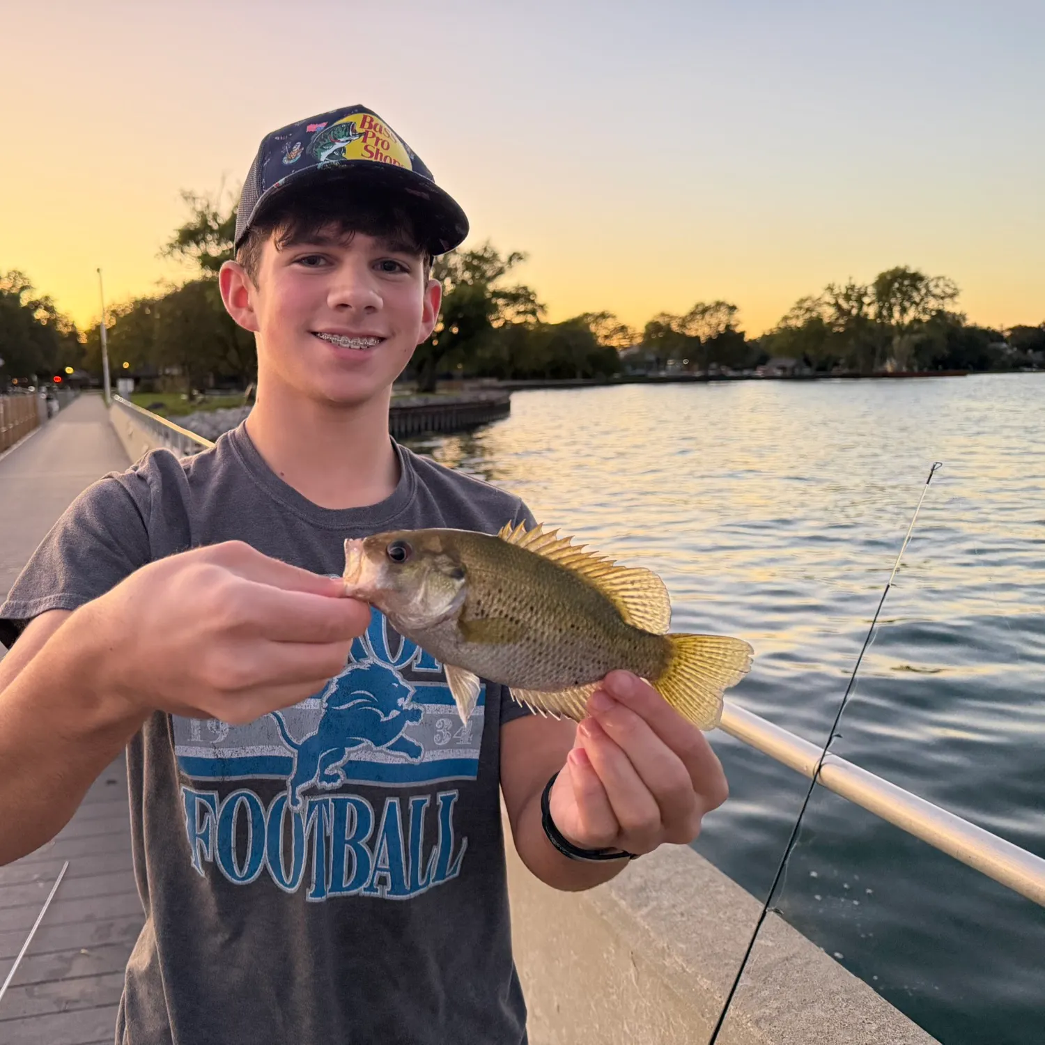 Rock bass caught on Fishbrain