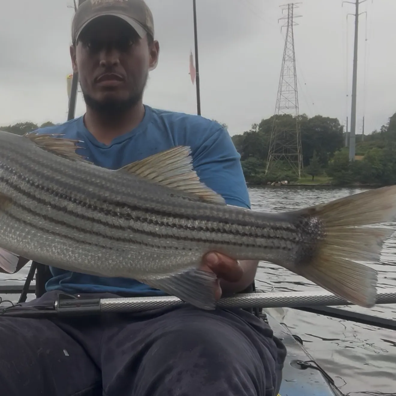 Striped bass caught on Fishbrain