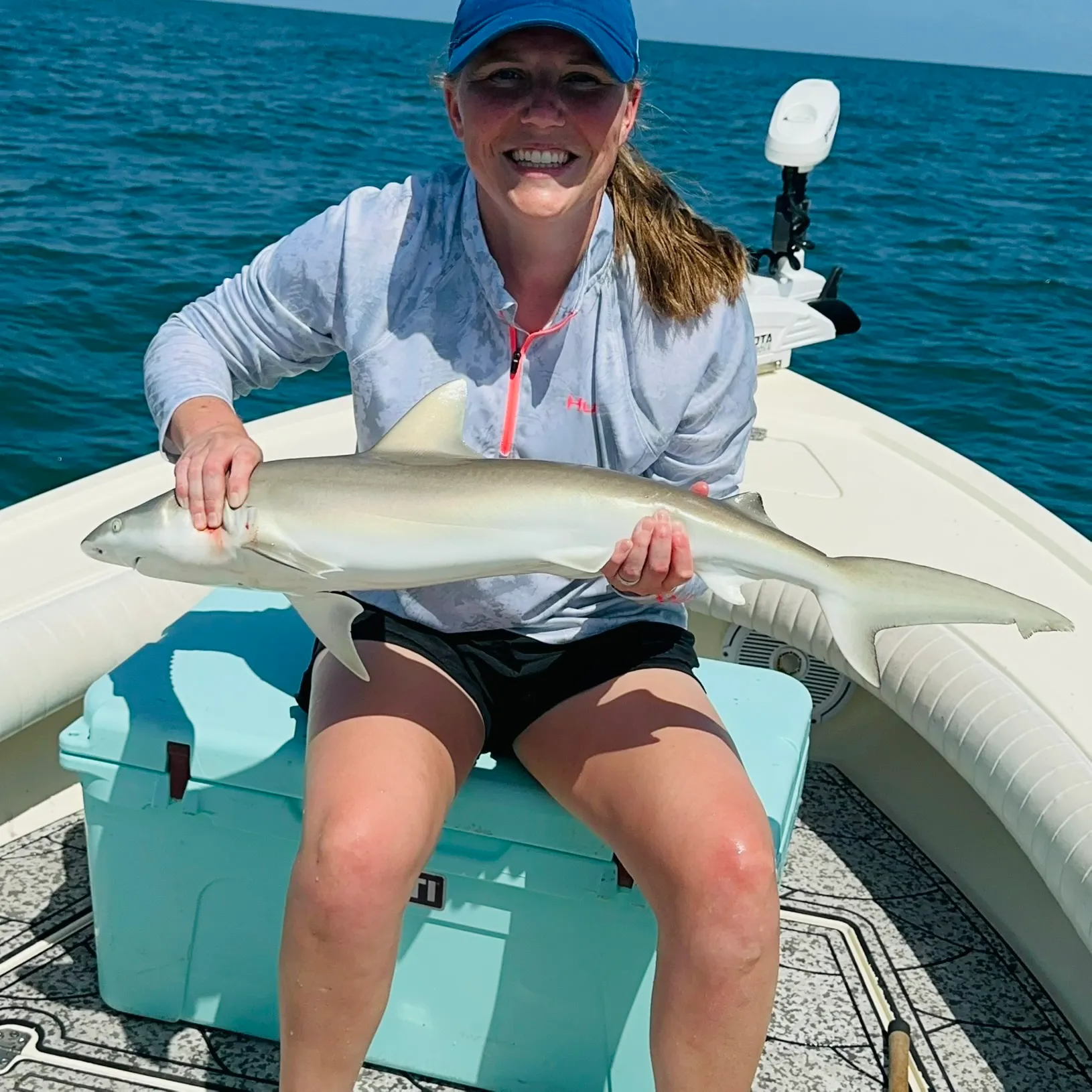 The most recent Caribbean reef shark catches on Fishbrain