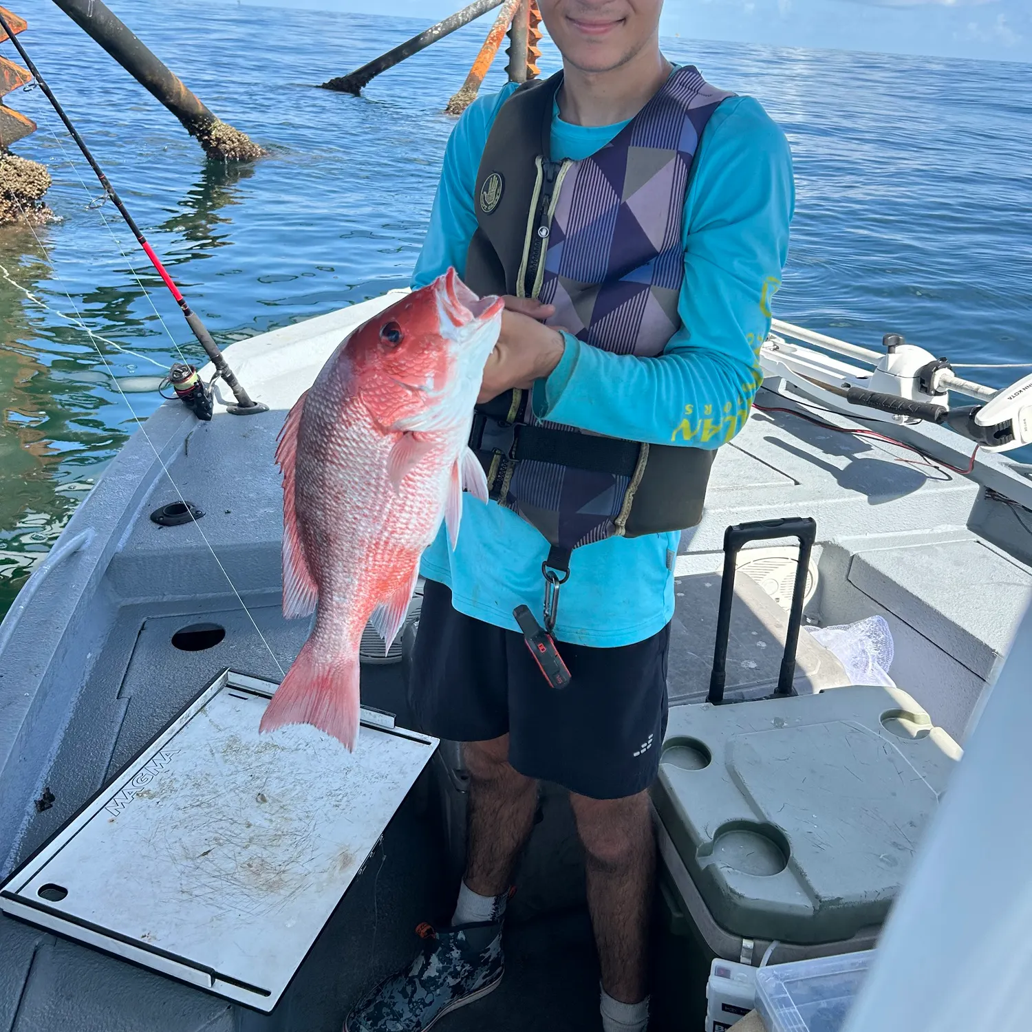 The most recent Northern red snapper catches on Fishbrain