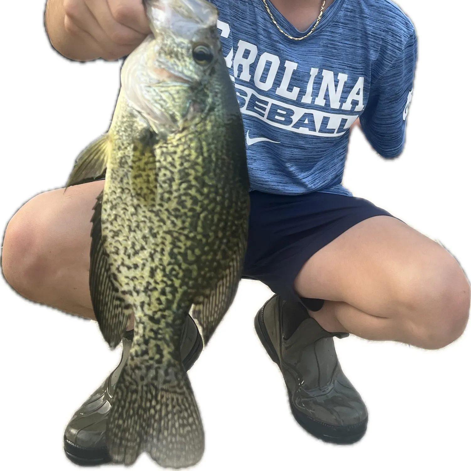 The most recent Black crappie catches on Fishbrain