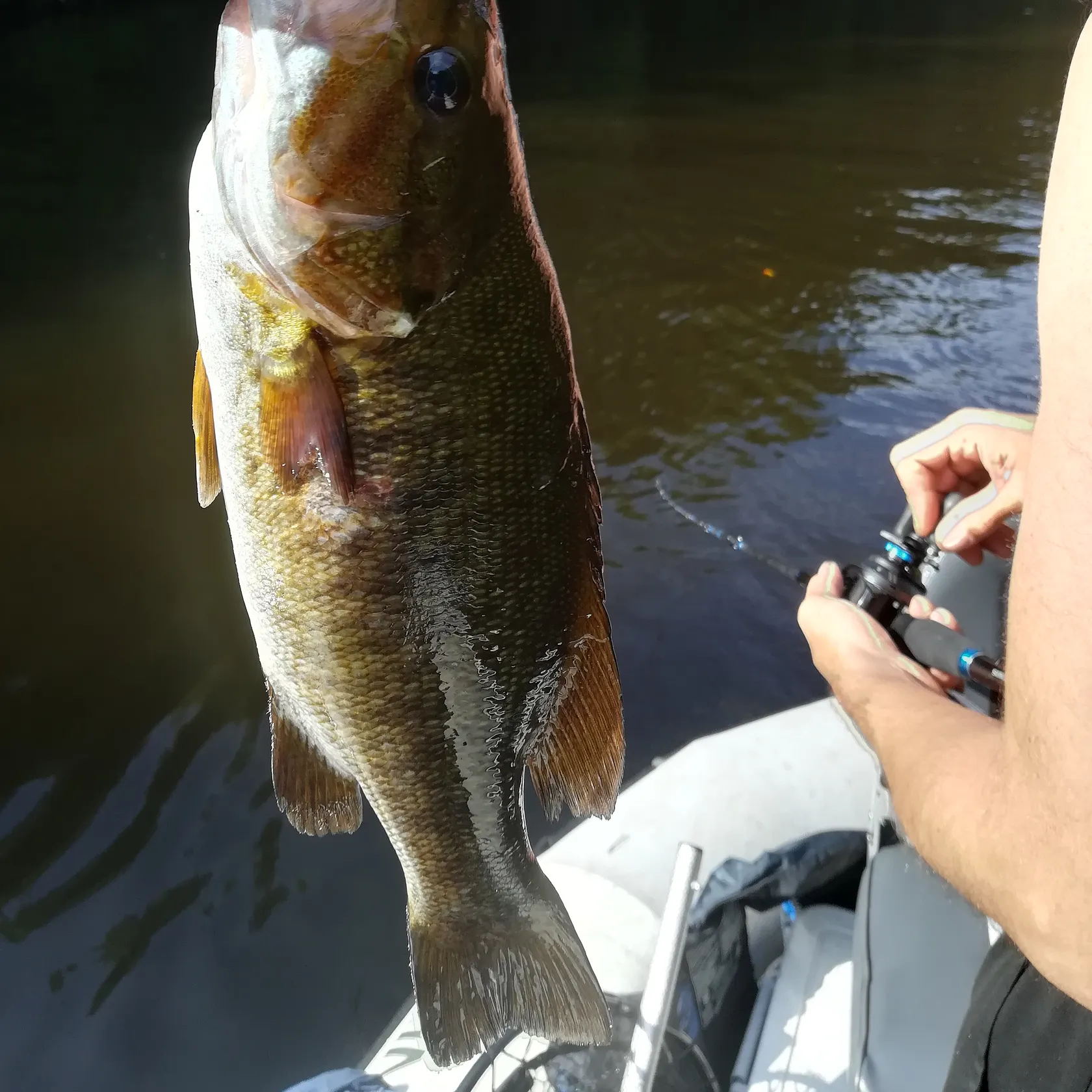 angler catch
