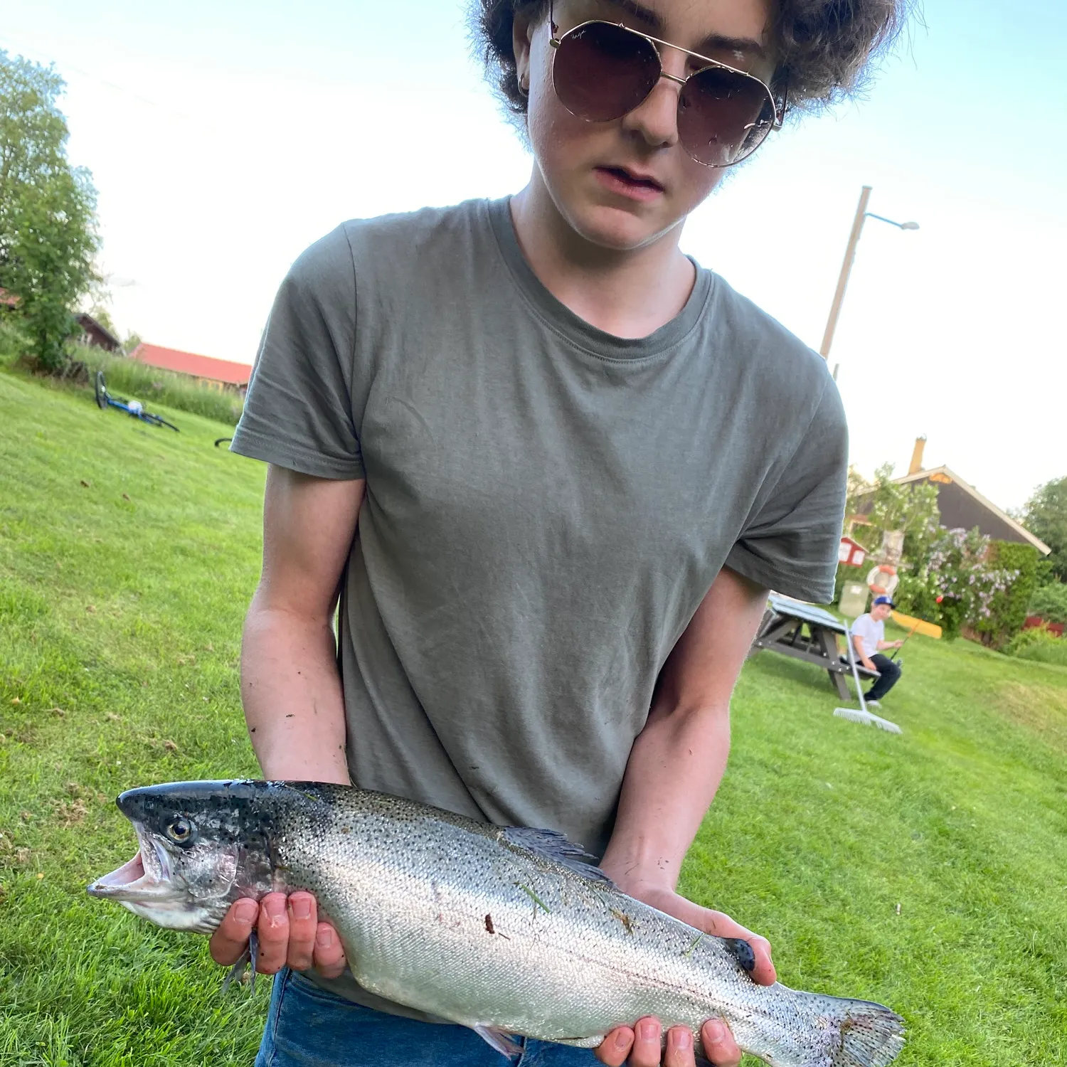 Rainbow trout caught on Fishbrain