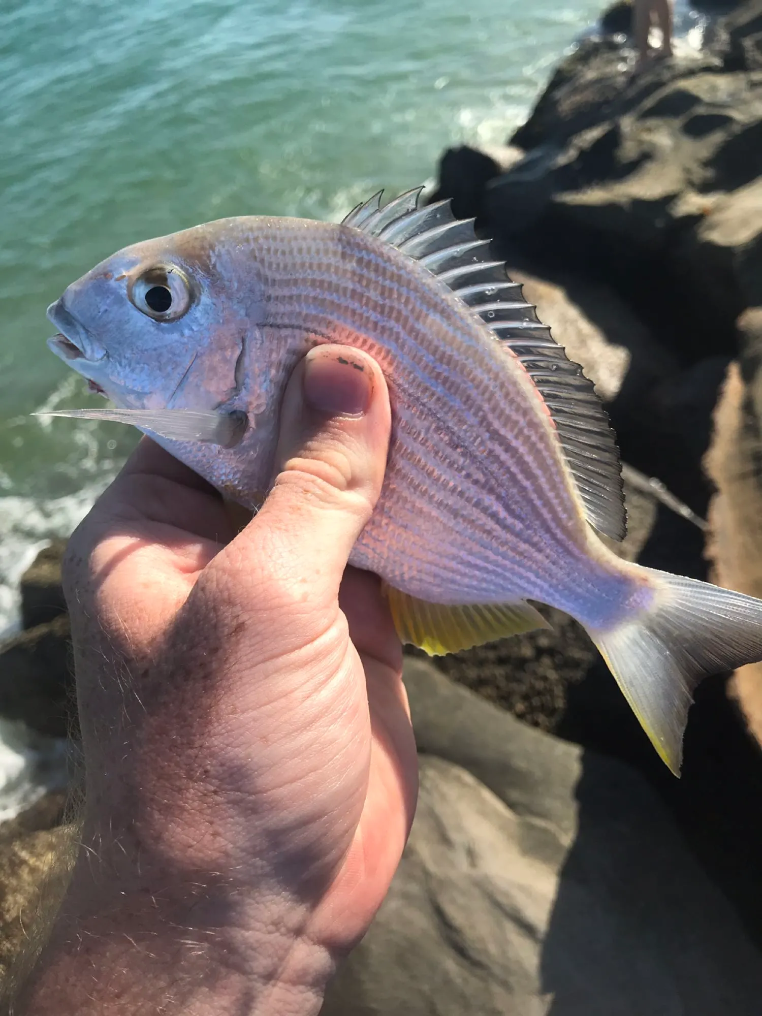 Post image from TimmyMason