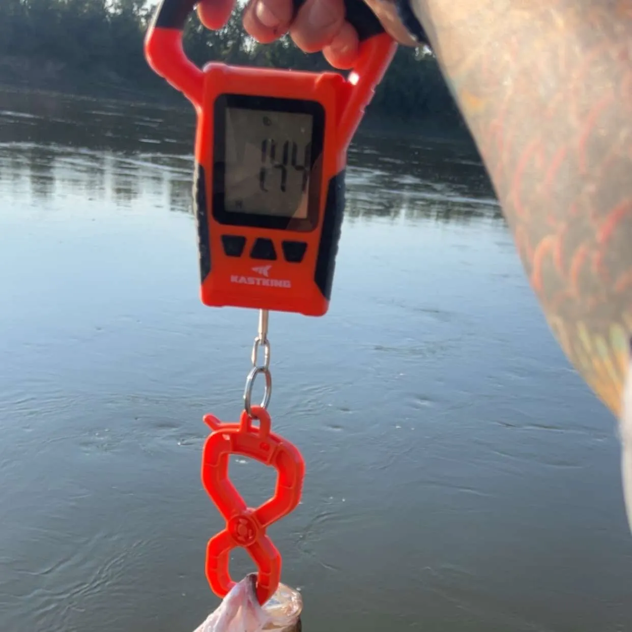 Wiper caught on Fishbrain