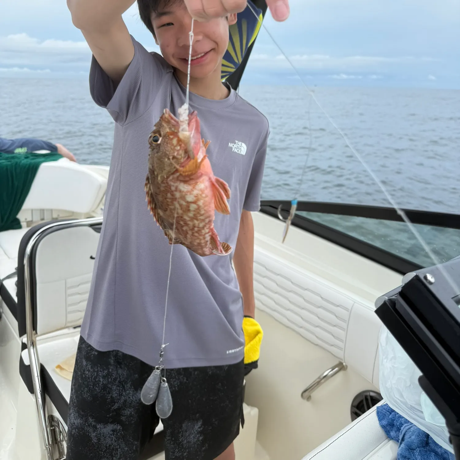 The most recent Marbled Rockfish catches on Fishbrain