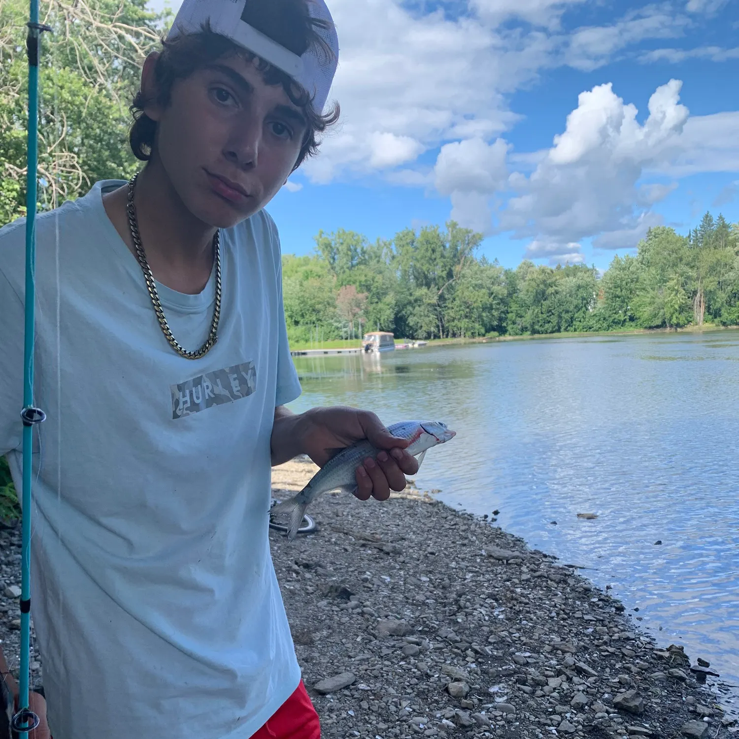 The most recent Goldeye catches on Fishbrain
