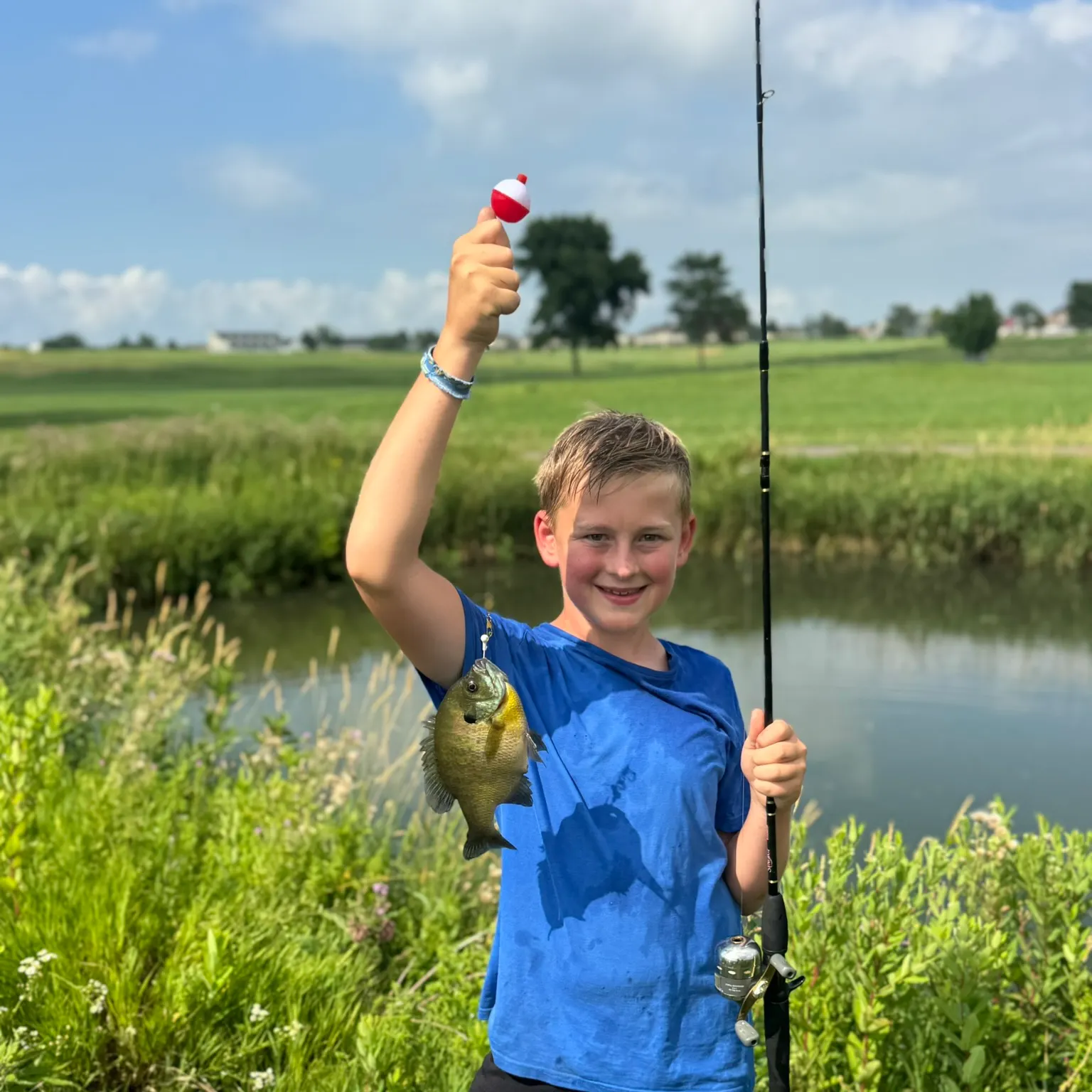 Redear sunfish caught on Fishbrain
