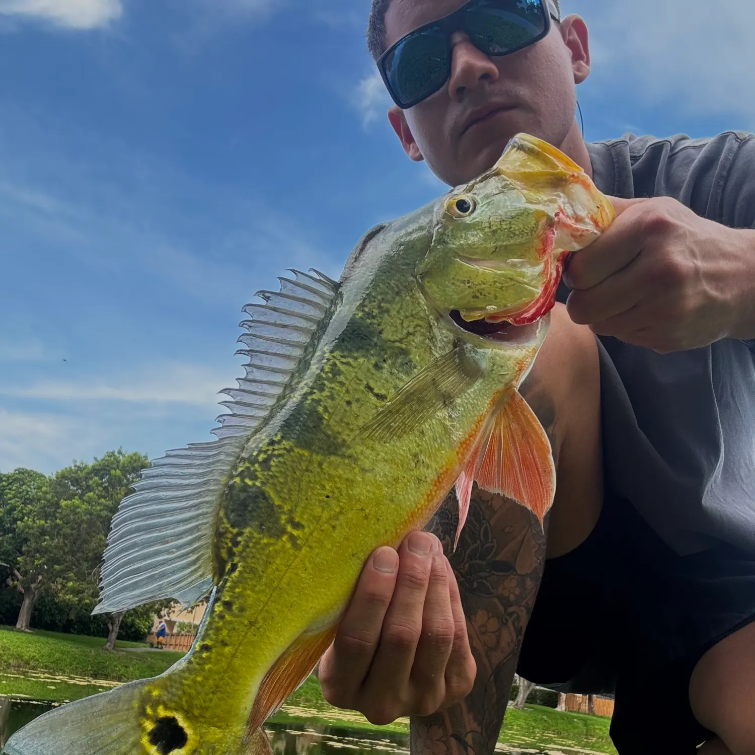 catch