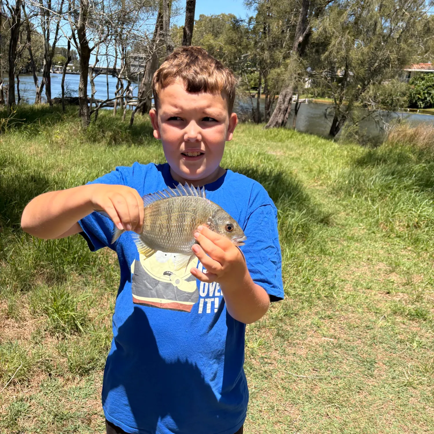 Surf bream caught on Fishbrain
