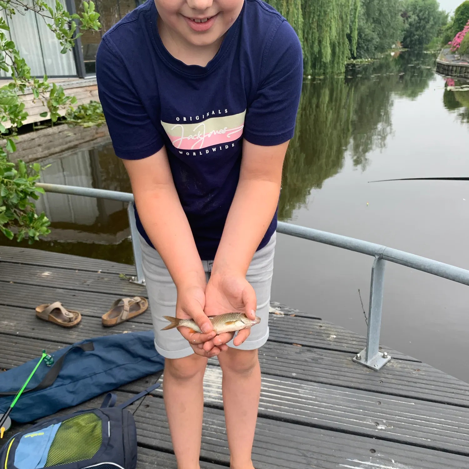 Common roach caught on Fishbrain
