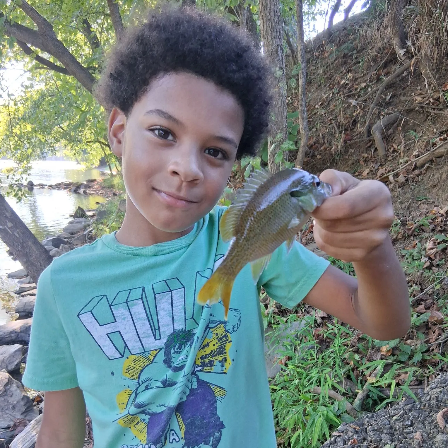 Redbreast sunfish caught on Fishbrain