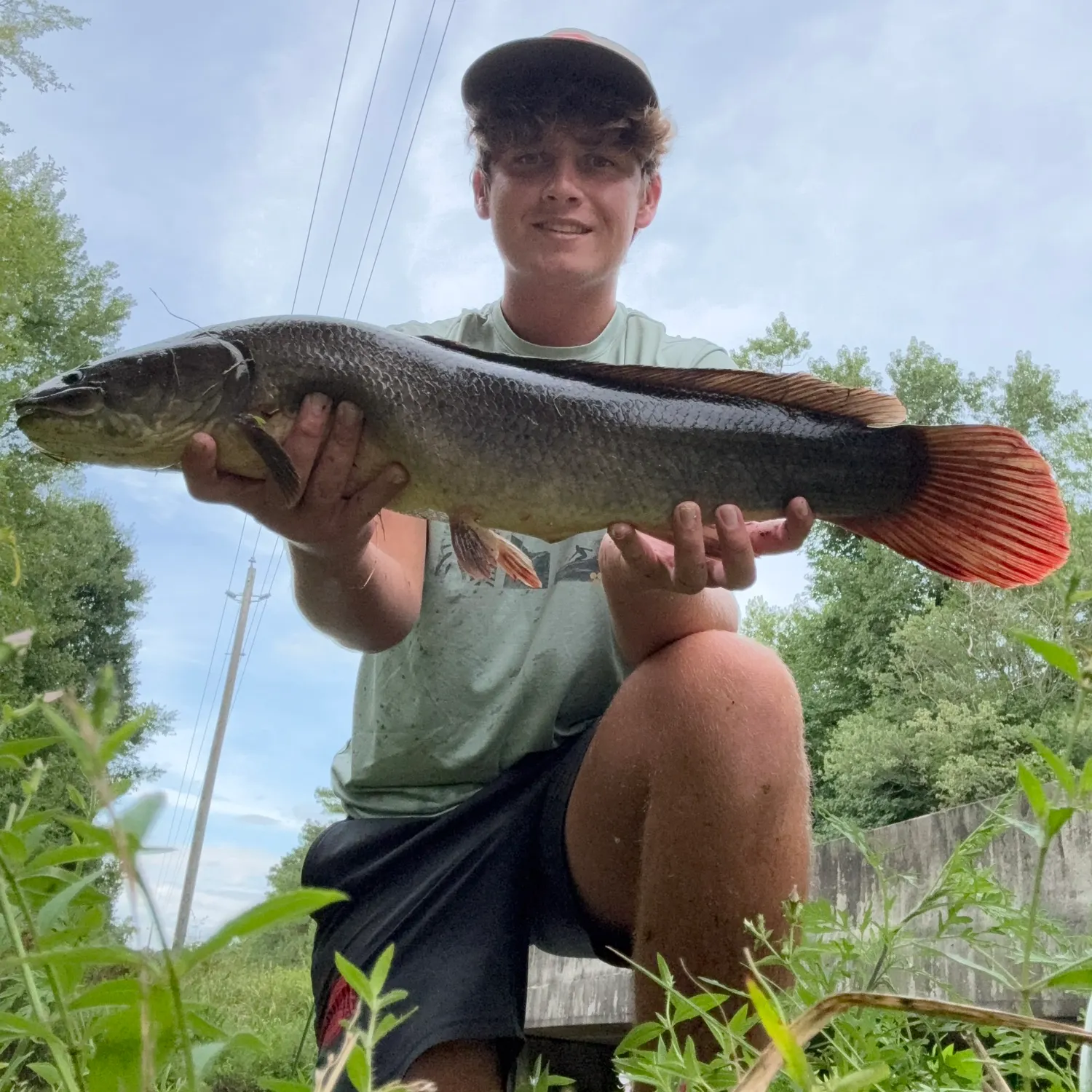 The most recent Ruddy bowfin catches on Fishbrain