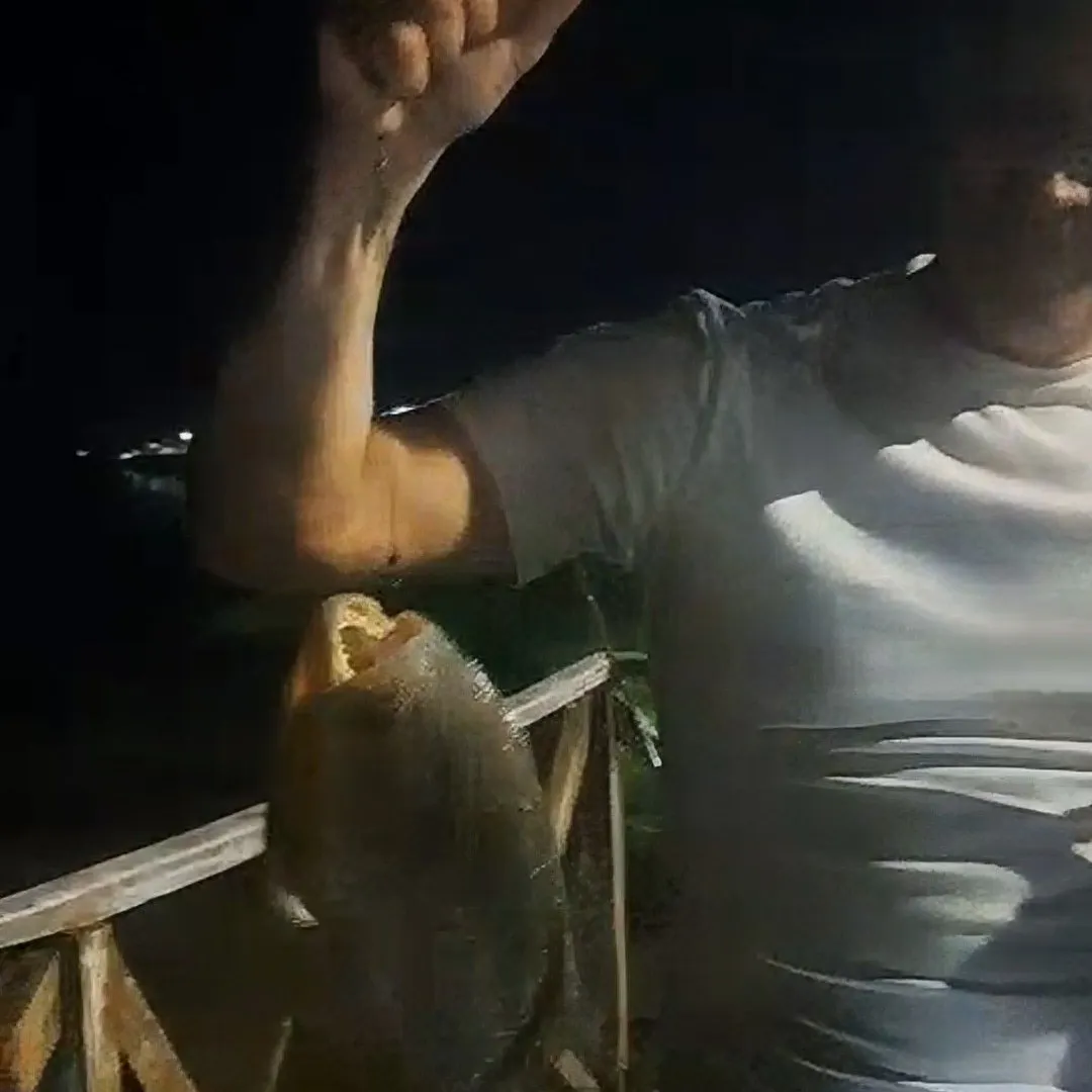 The most recent Parona leatherjacket catches on Fishbrain
