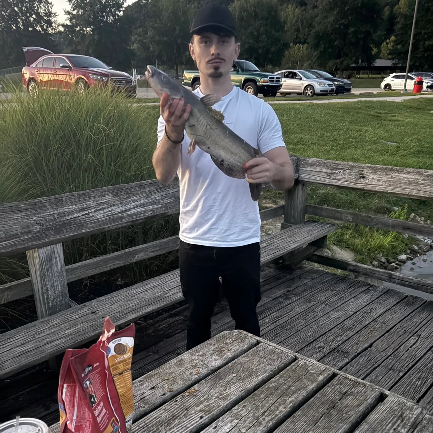 Channel catfish caught on Fishbrain