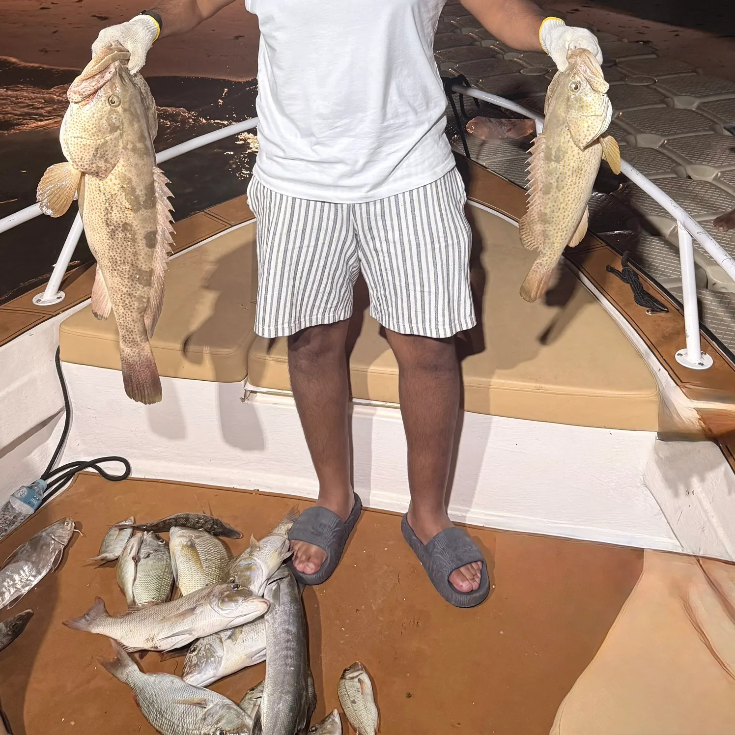 The most recent Greasy grouper catches on Fishbrain