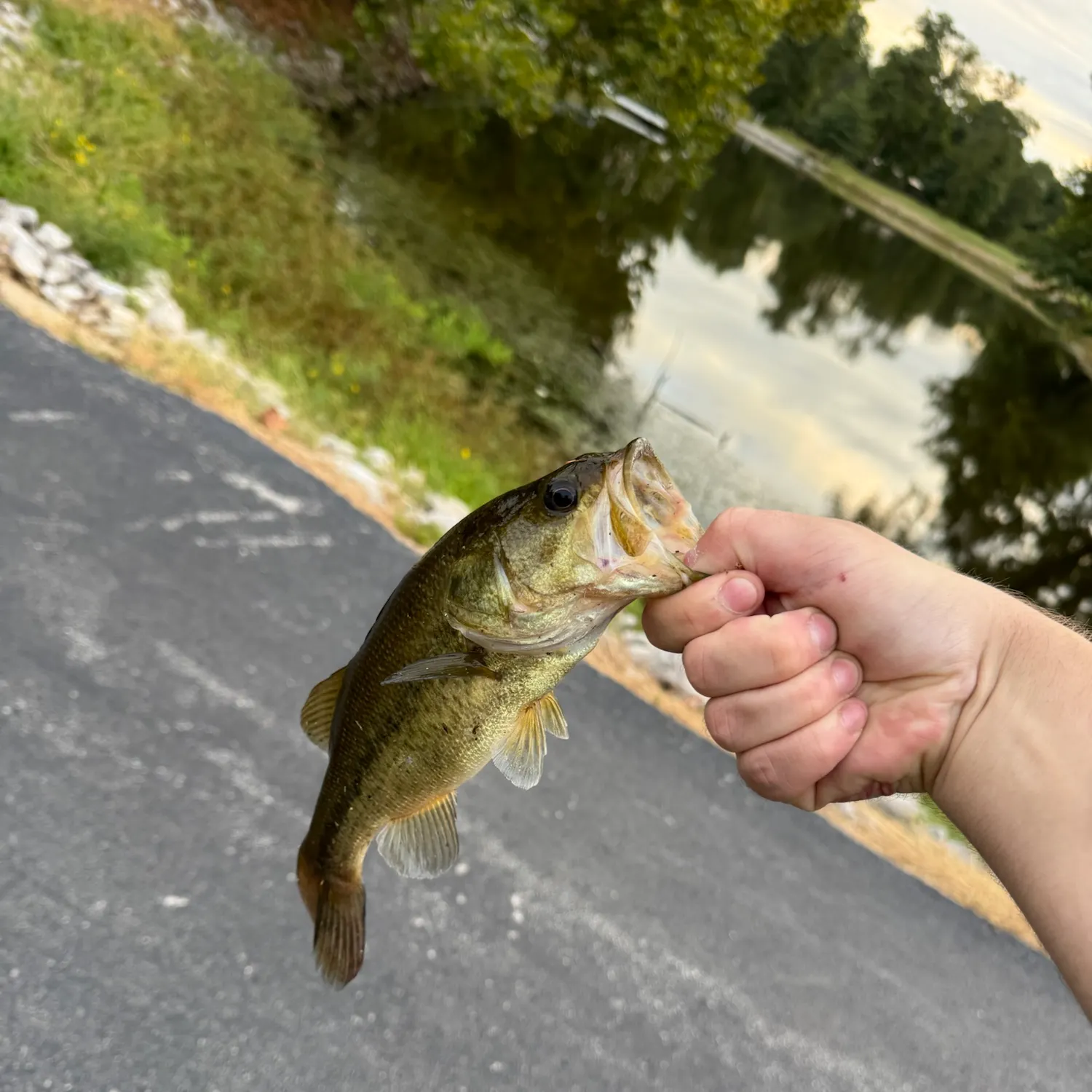 catch