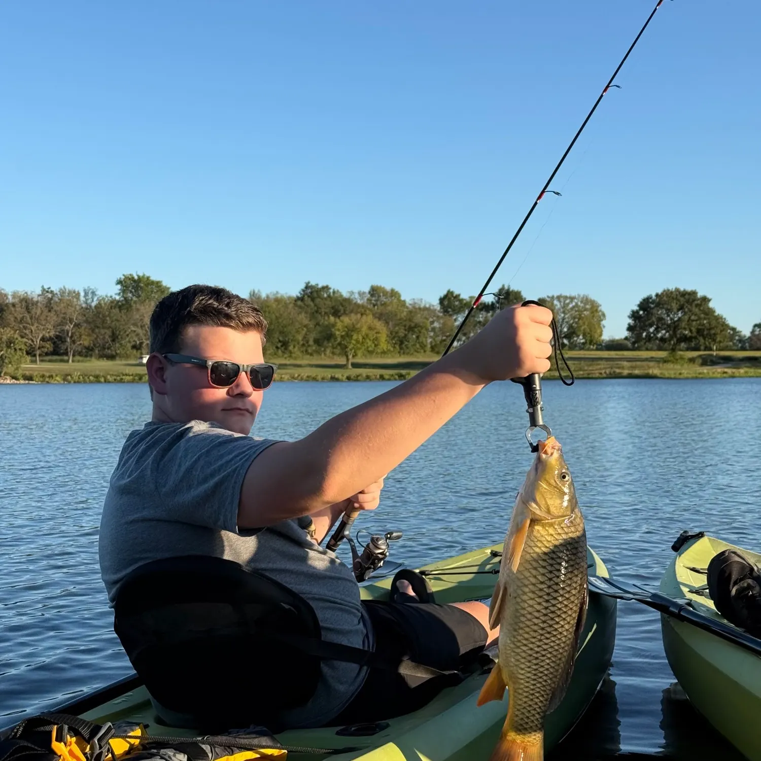 Common carp caught on Fishbrain