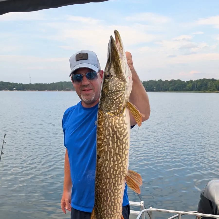 Northern pike caught on Fishbrain