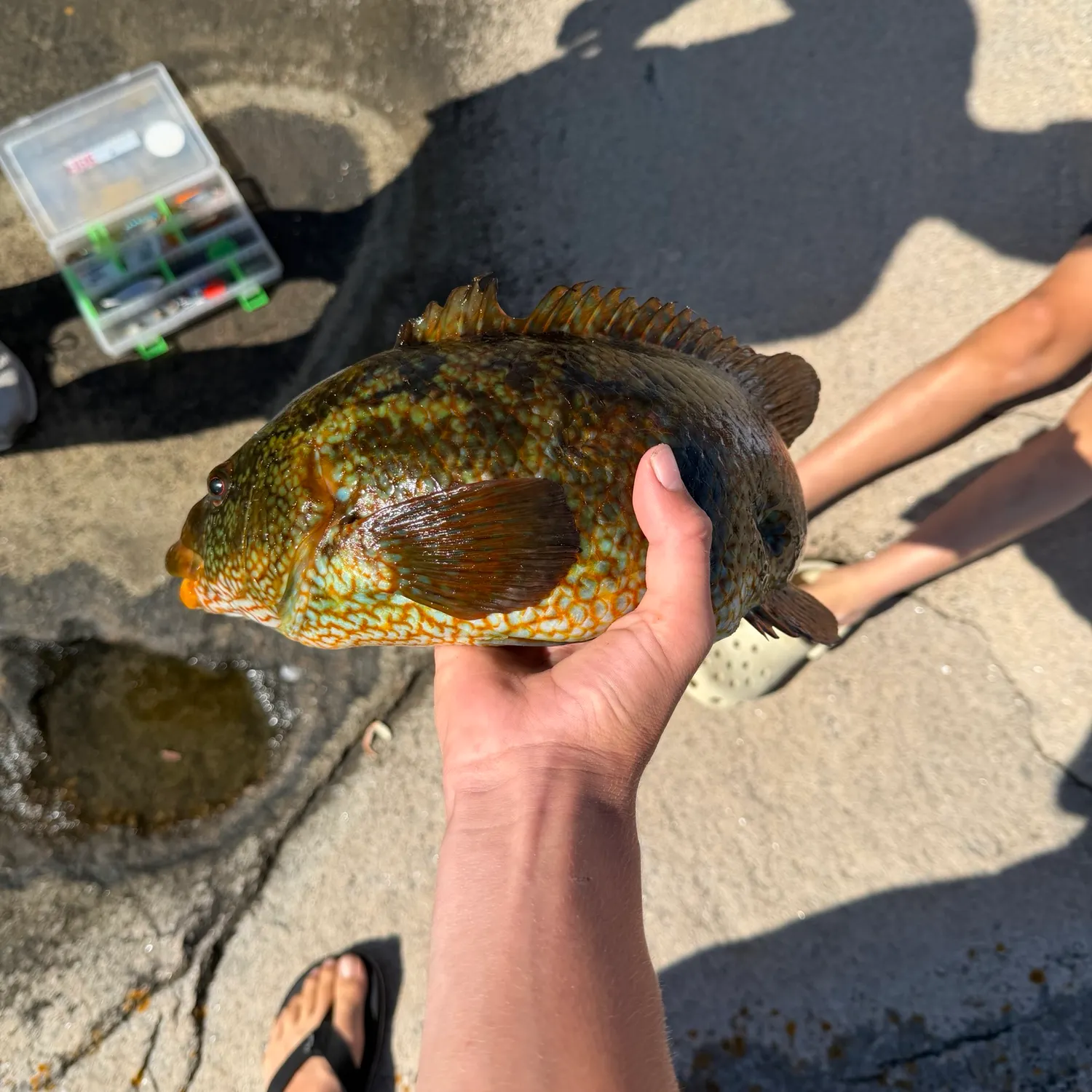 catch