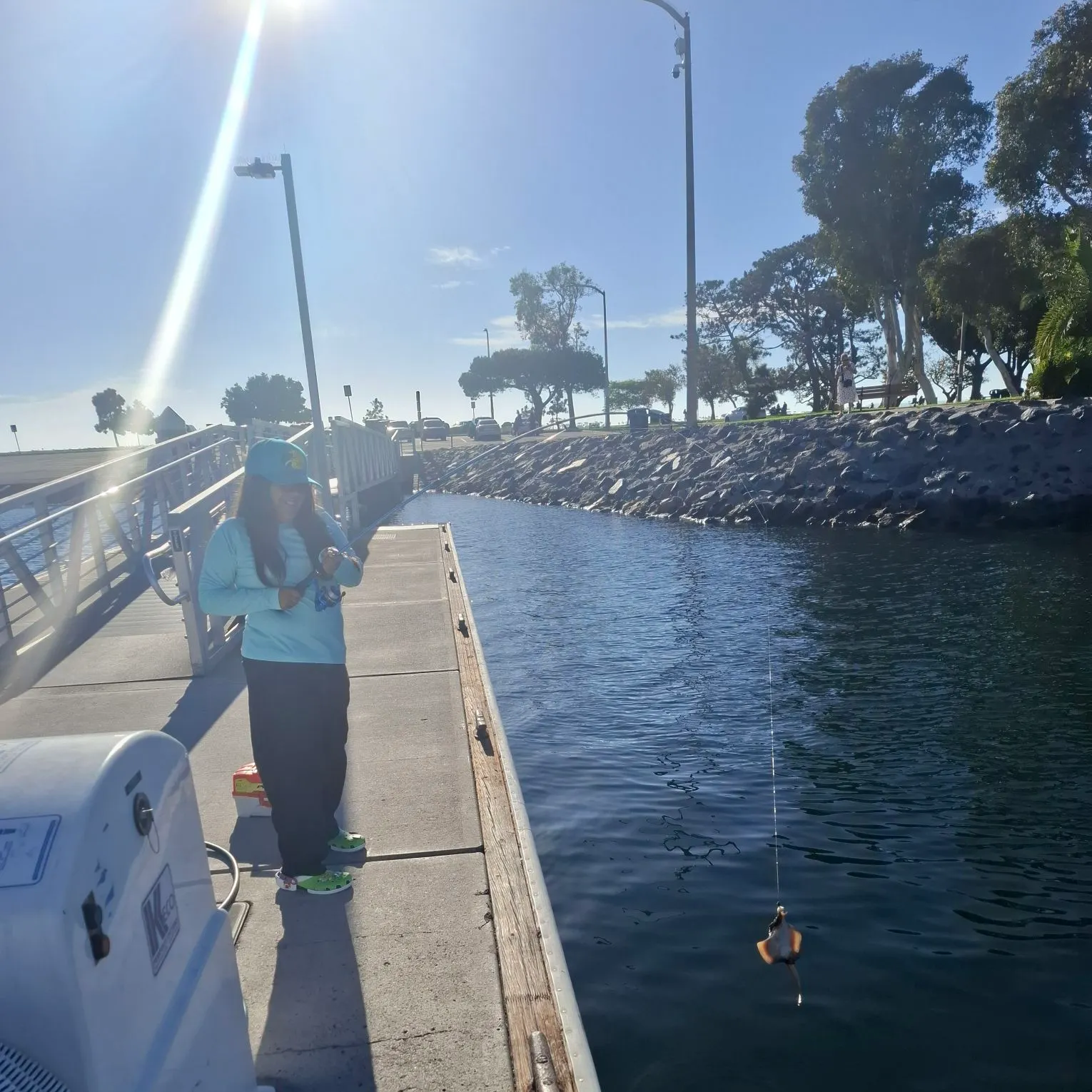 Haller's round ray caught on Fishbrain