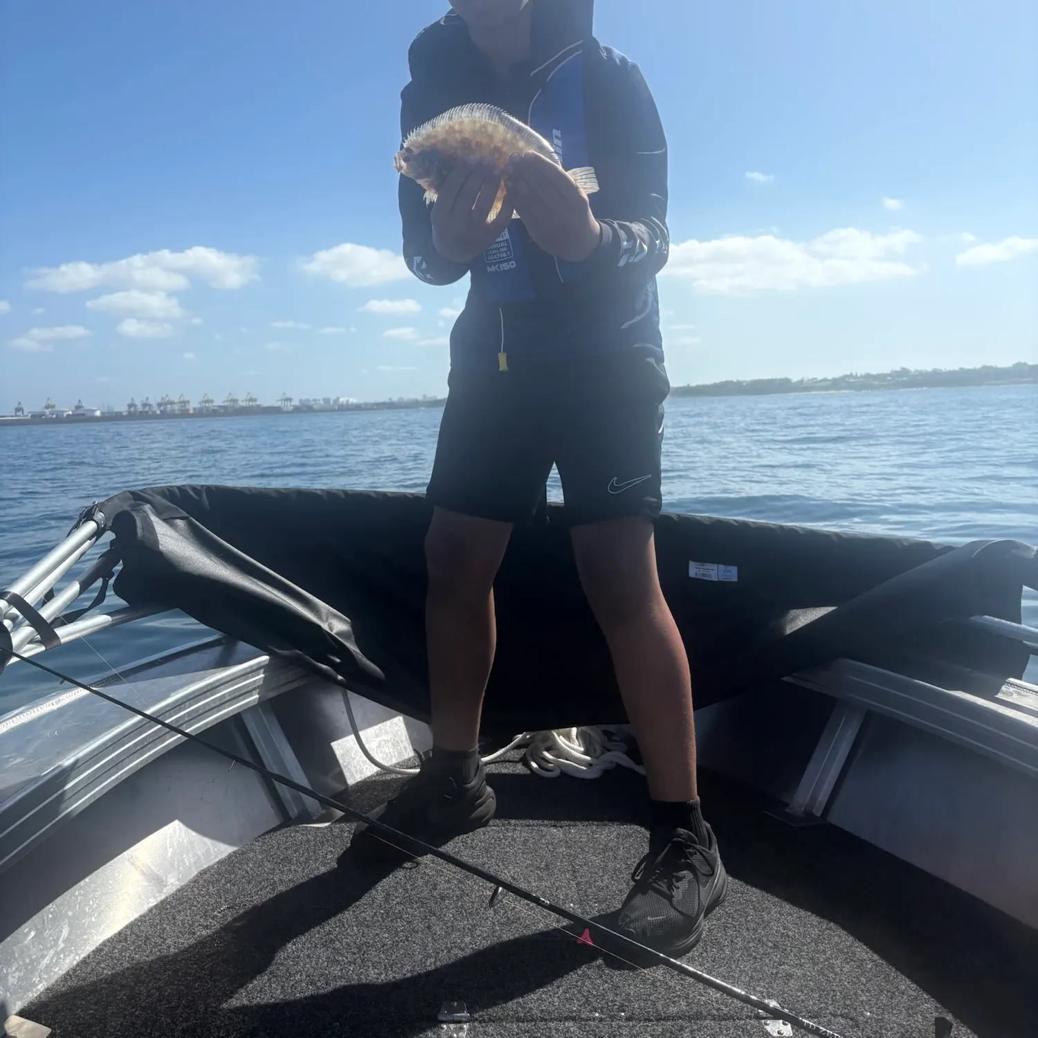 The most recent Largetooth flounder catches on Fishbrain