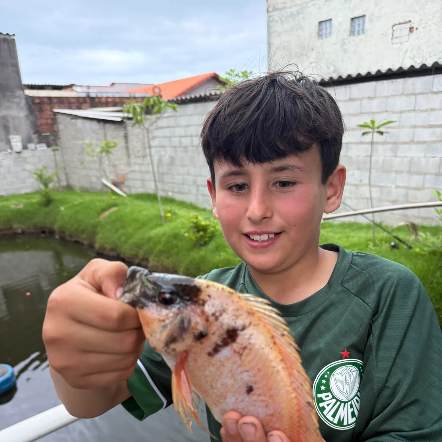The most recent Red tilapia catches on Fishbrain