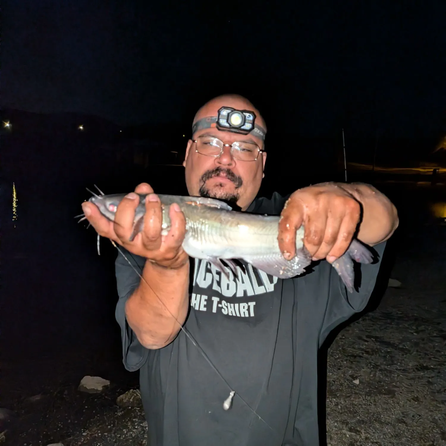Channel catfish caught on Fishbrain