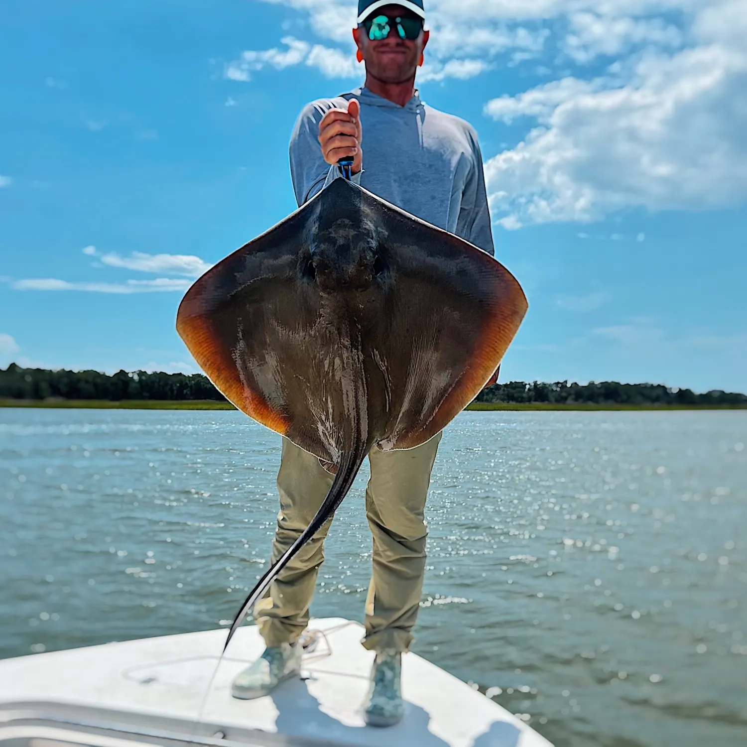 The most recent Southern stingray catches on Fishbrain