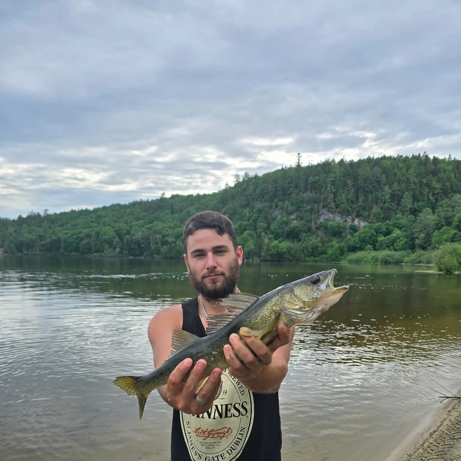 Sauger caught on Fishbrain