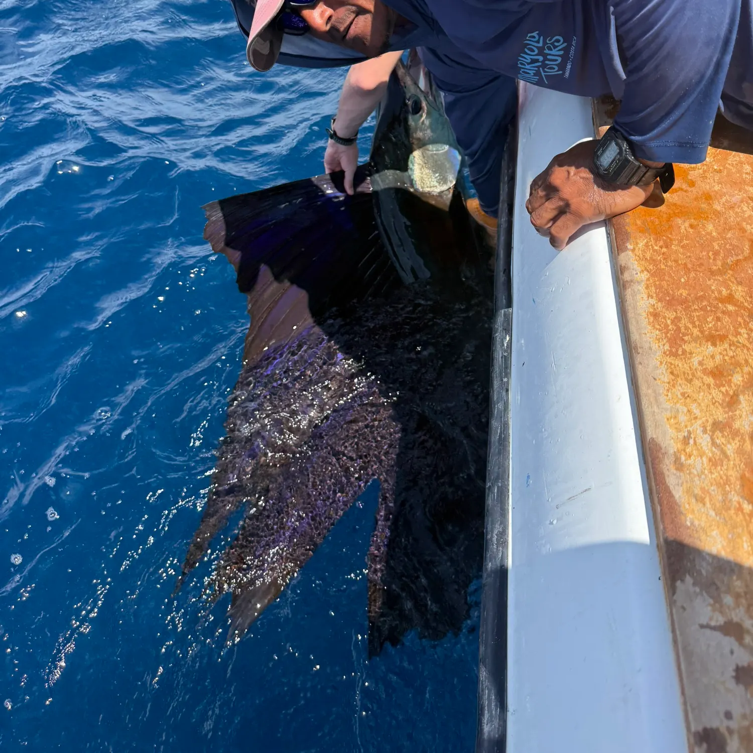 The most recent Indo-Pacific sailfish catches on Fishbrain