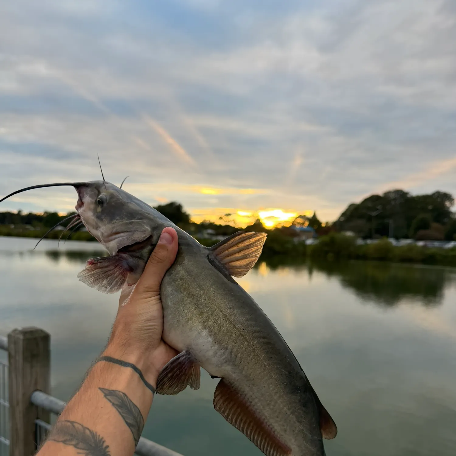 catch