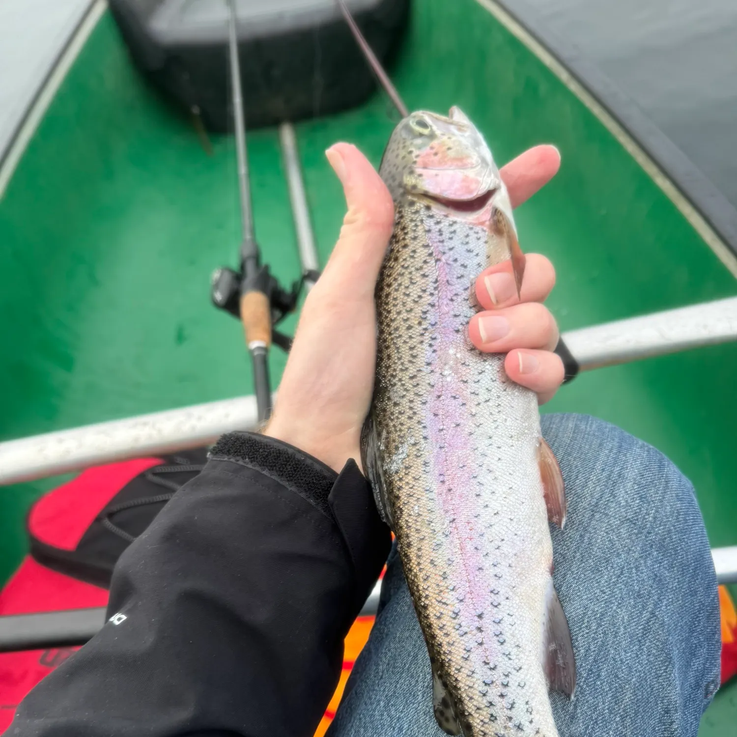 Rainbow trout caught on Fishbrain