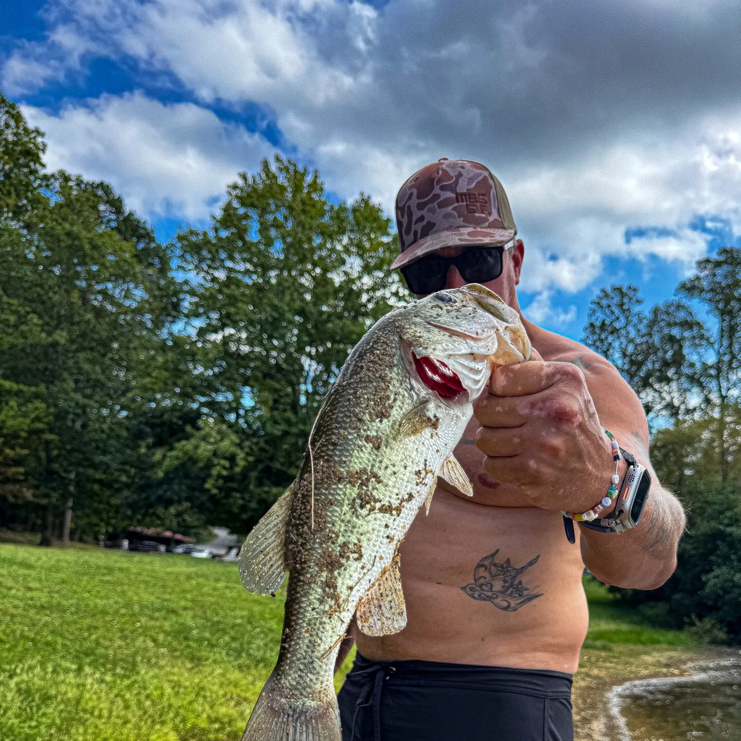 Largemouth bass caught on Fishbrain