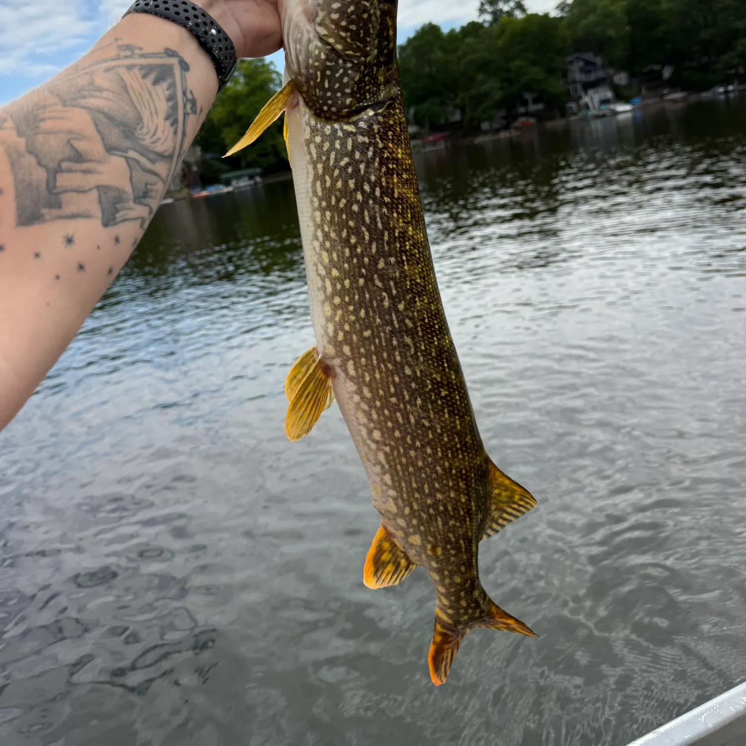 catch