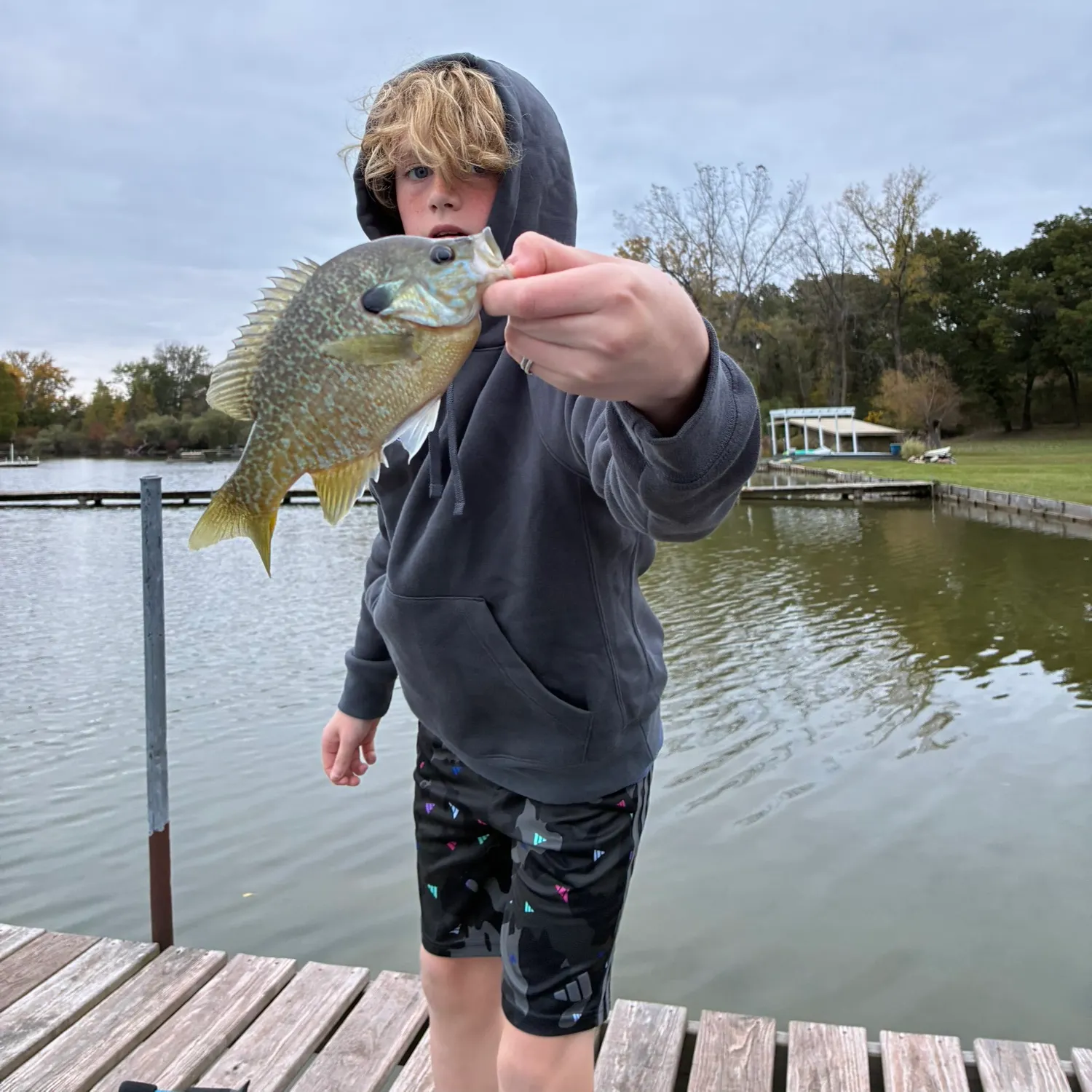 Pumpkinseed caught on Fishbrain
