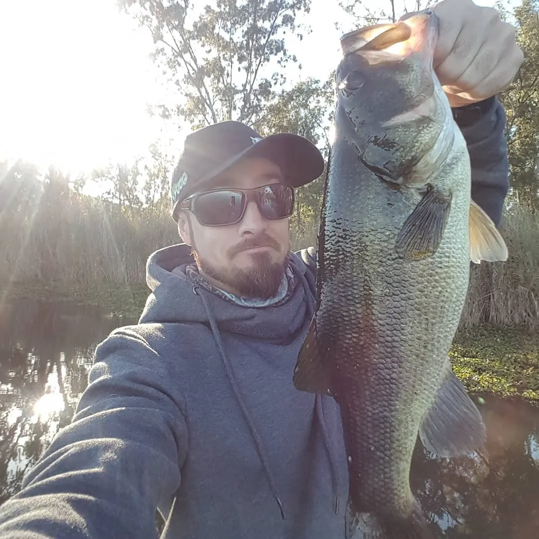 Post image from MEbassanator