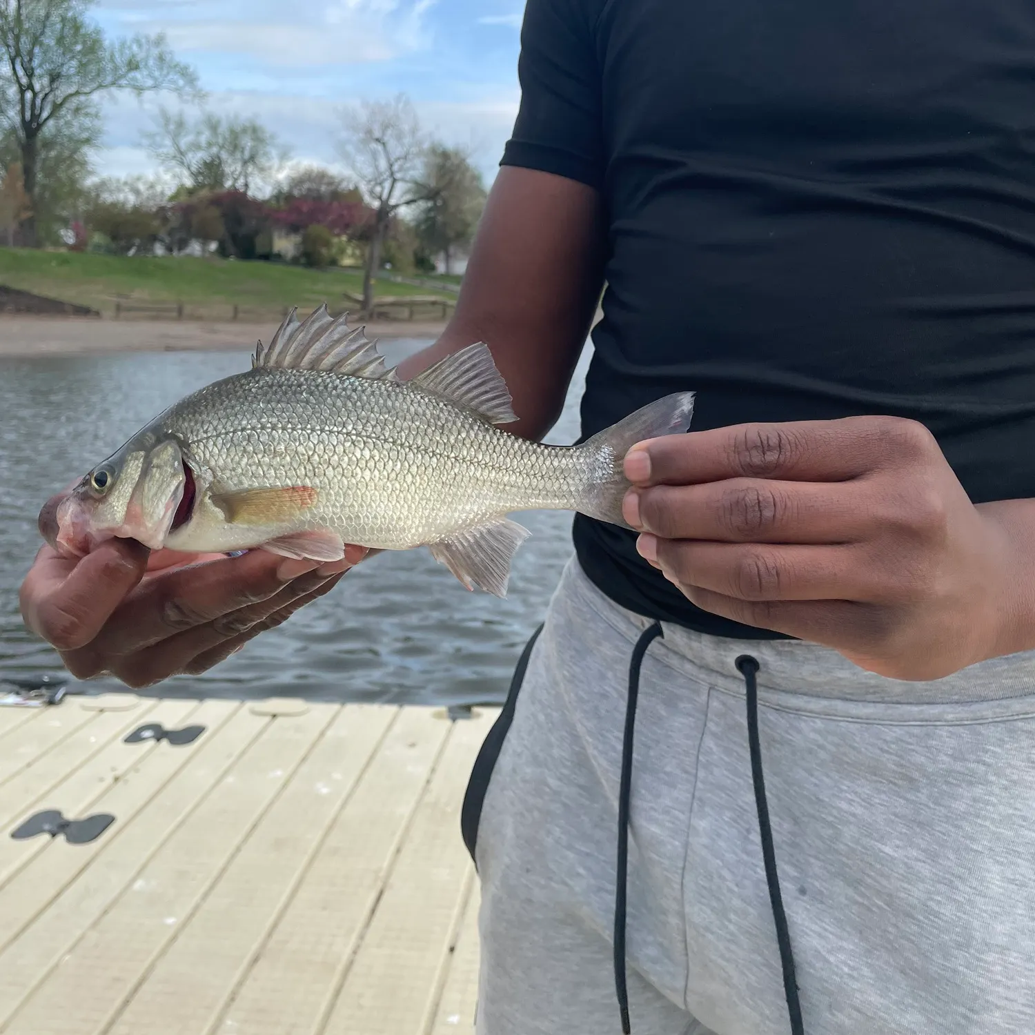 catch