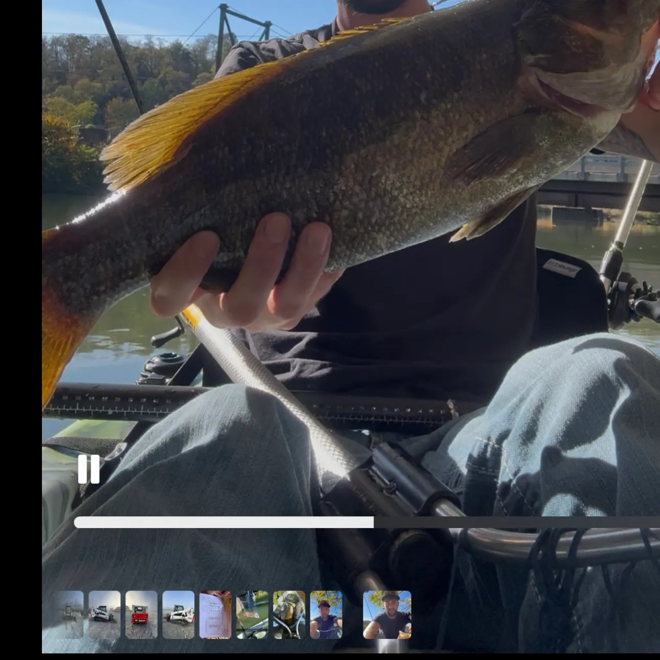 recently logged catches