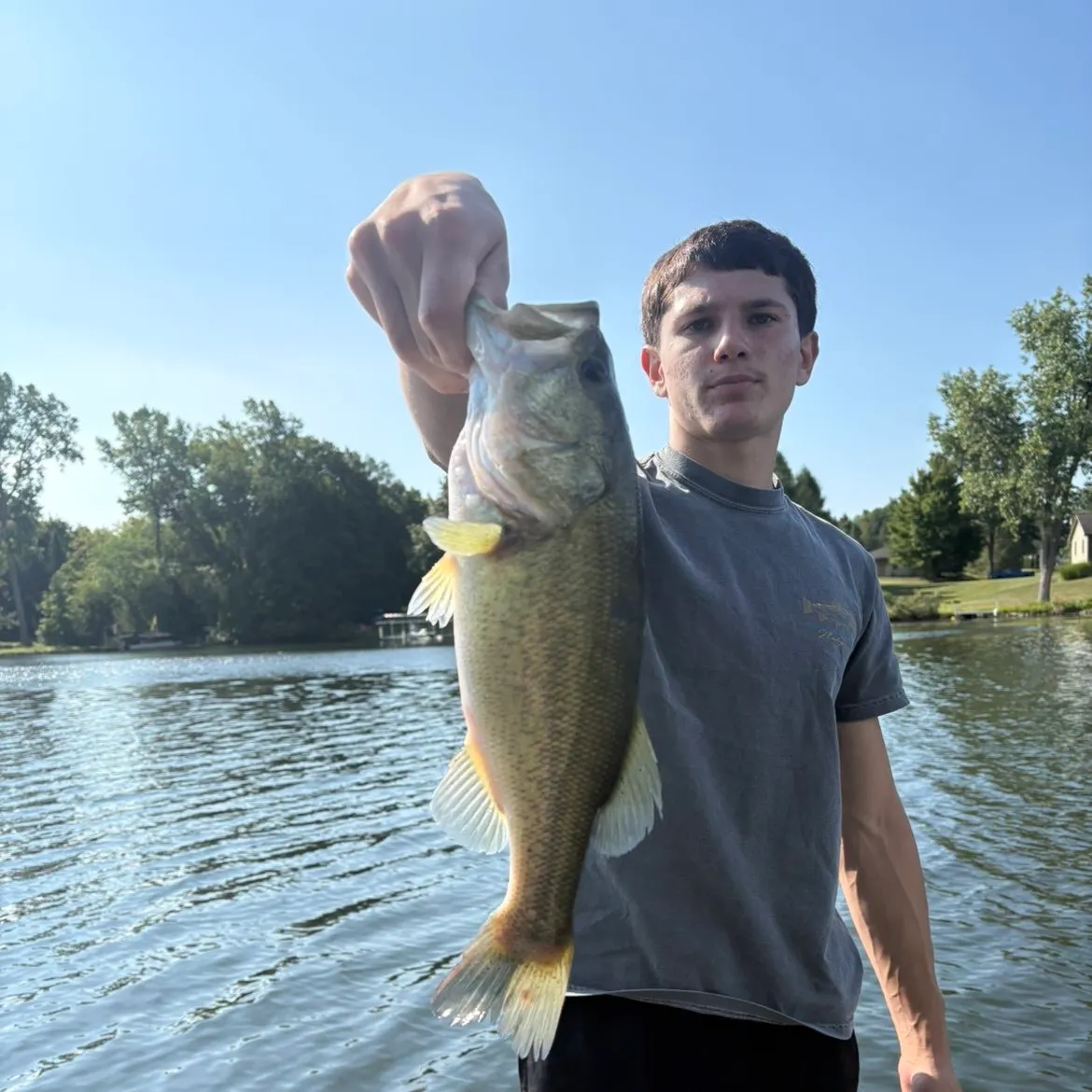 Largemouth bass caught on Fishbrain