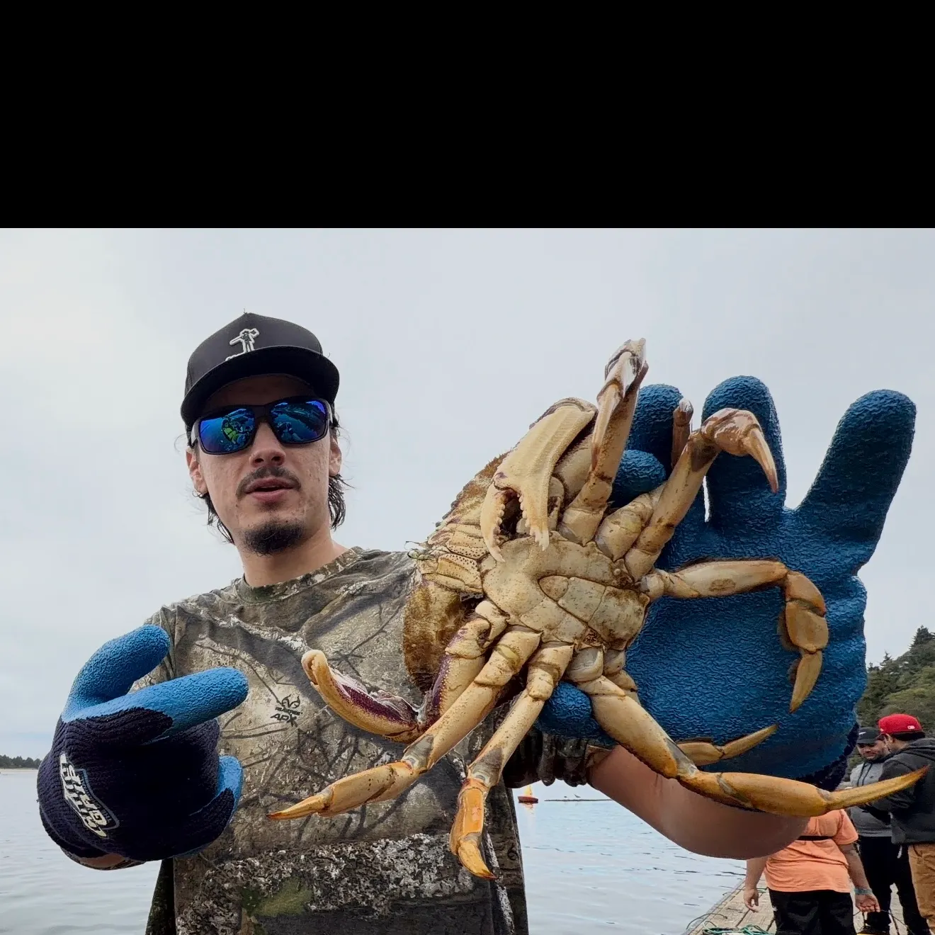 Dungeness crab caught on Fishbrain
