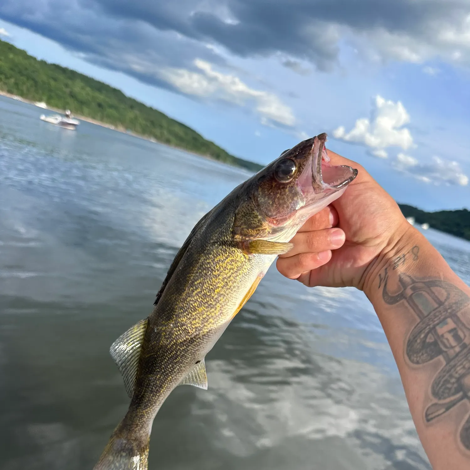 catch