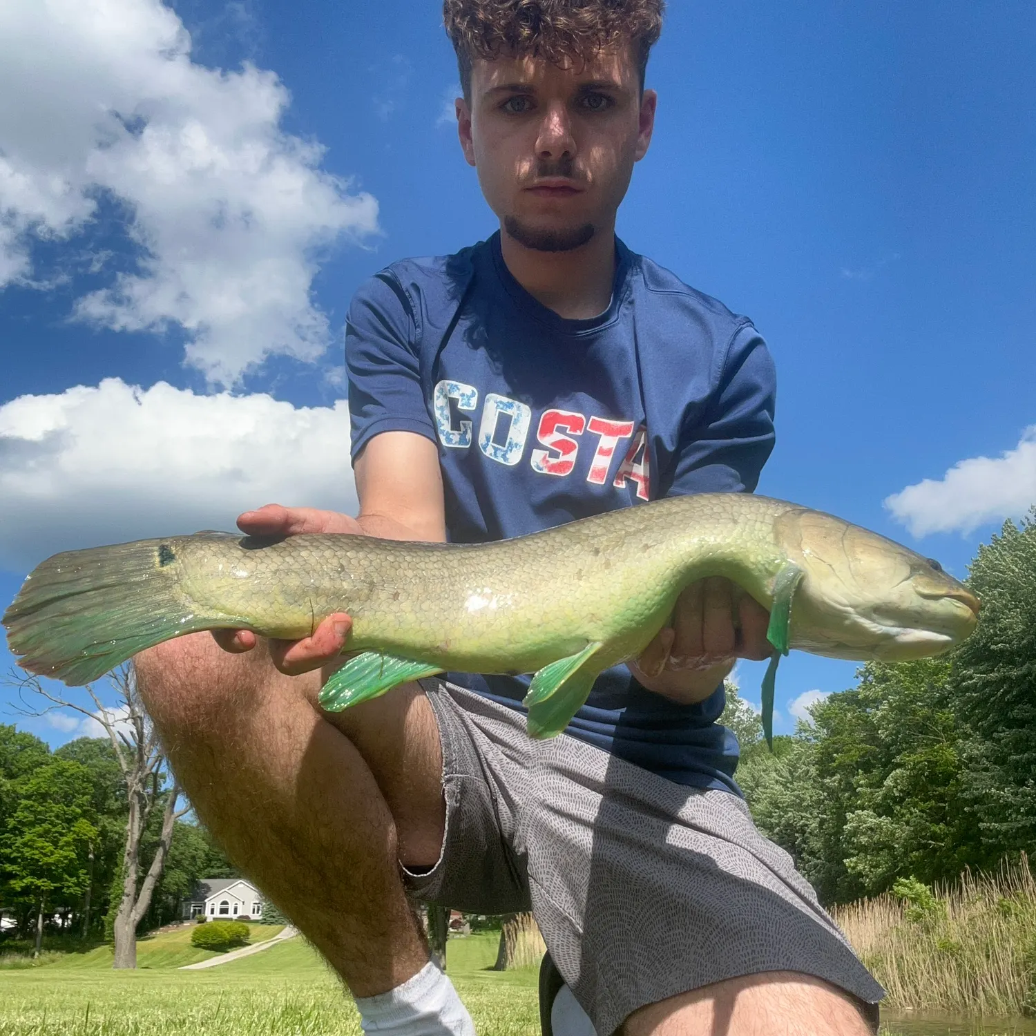 The most recent Eyetail bowfin catches on Fishbrain
