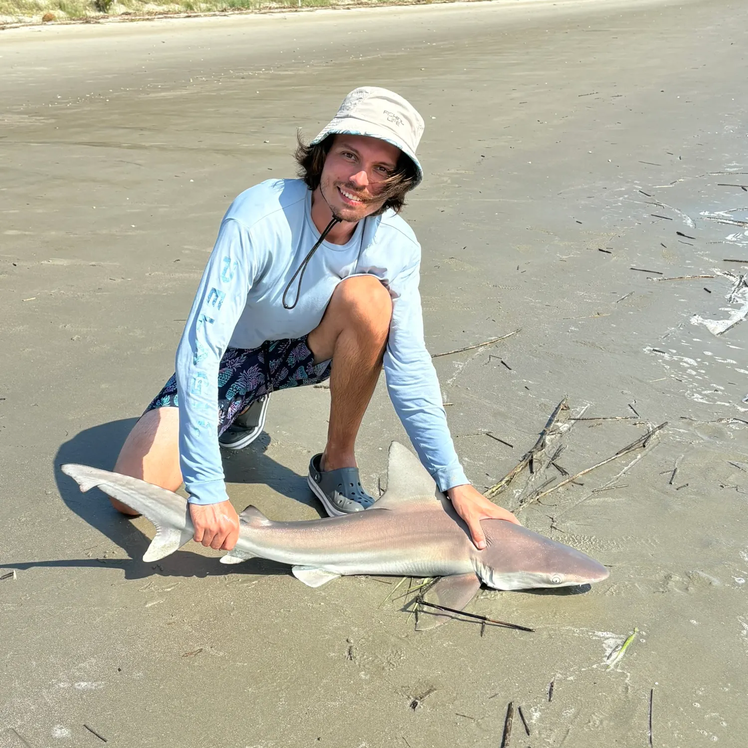 Atlantic sharpnose shark caught on Fishbrain