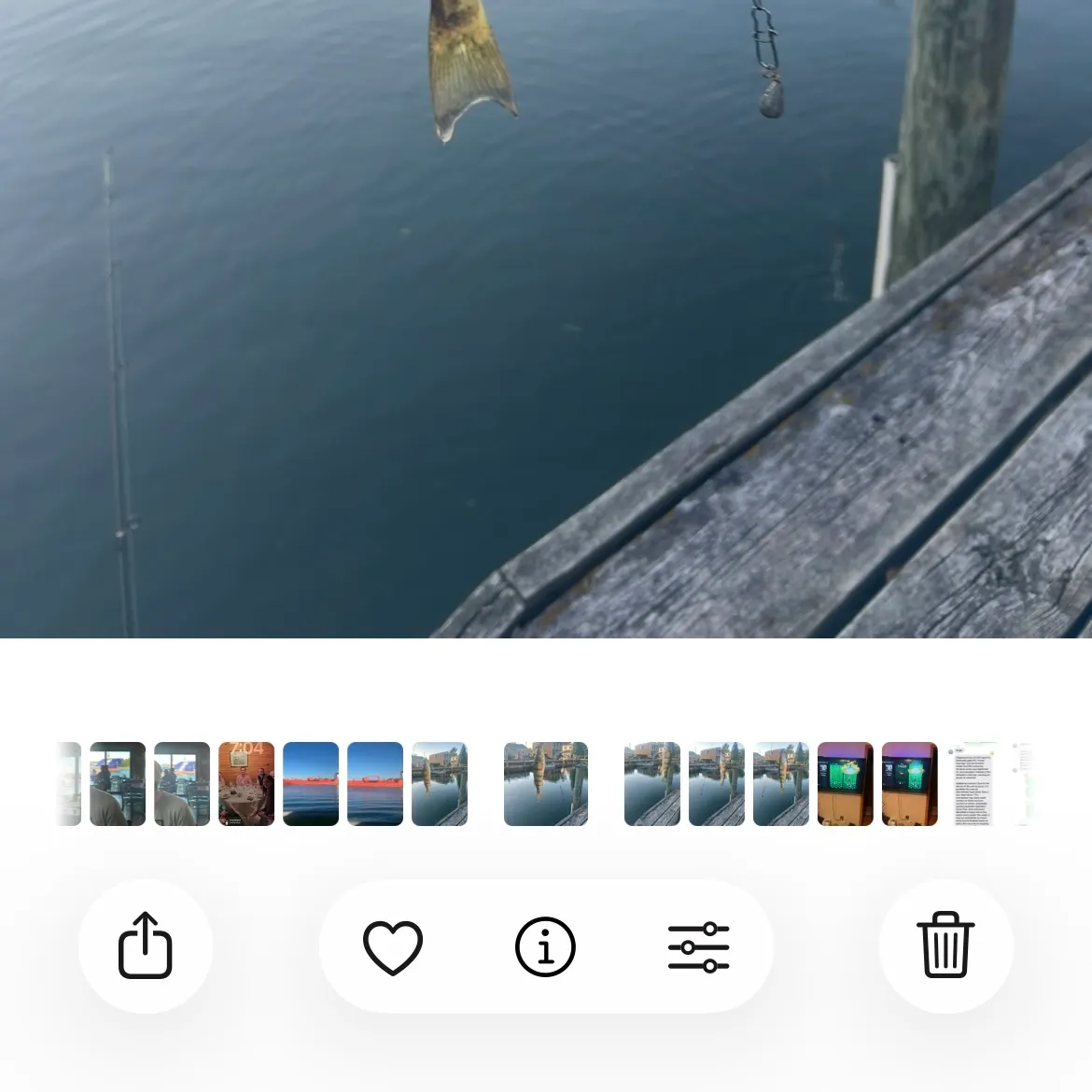 recently logged catches