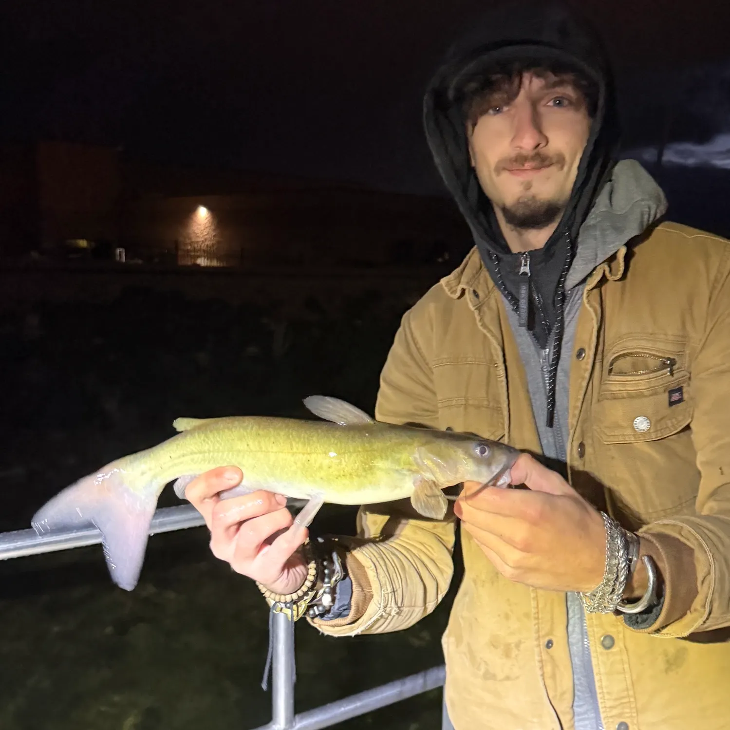 Channel catfish caught on Fishbrain